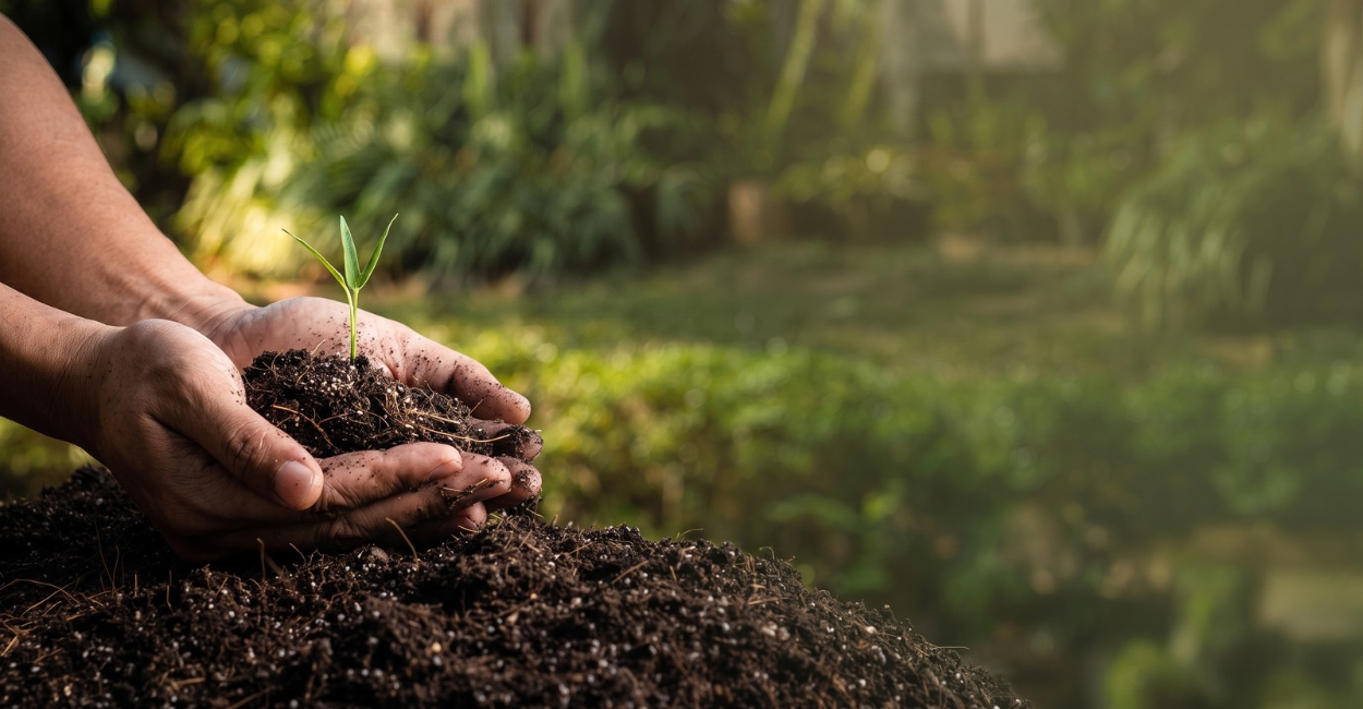 Terreno biológico: como preparar o organismo para uma saúde melhor