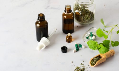 Fitoterapia Moderna: 5 Plantas Medicinais com Evidências Científicas para o Bem-Estar