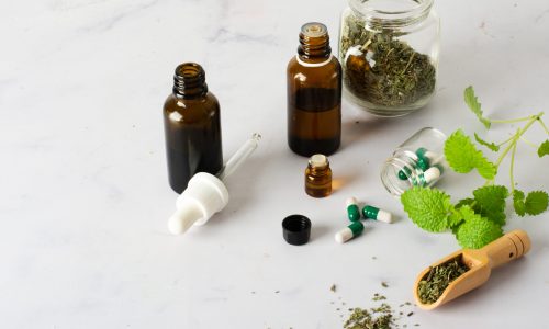 Fitoterapia Moderna: 5 Plantas Medicinais com Evidências Científicas para o Bem-Estar